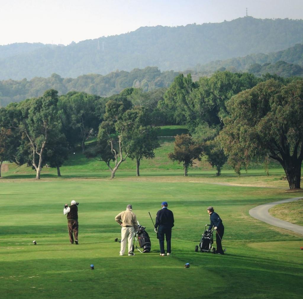 Golf Course 19