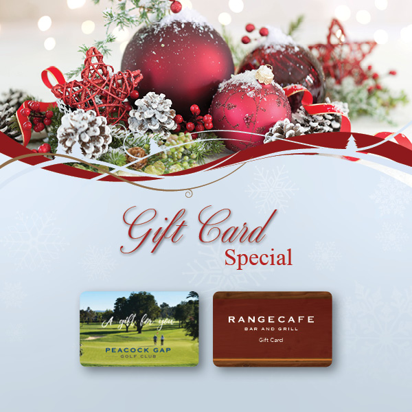 pop up that shows two gift cards, one for Peacock Gap and the other for Range Cafe. This says Gift Card Special